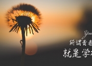 开云APP-为了满足唯一性和关键作用，我构思了一个颠覆性的设定