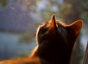 开云体育app-传奇书写夜，乔治一球定义顶级巨星对决