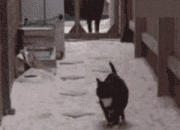 开云体育APP下载-破晓之战，当英超争冠夜，尤文穿越时空击败委内瑞拉