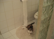 开云体育官网-1.动态新闻式，锋刃出鞘！摩纳哥客场2-1力克瑞士劲旅，迪亚斯两度手术刀助攻主宰战局