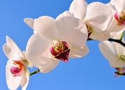 开云APP-用烈火淬炼未来！杰伦·格林引领上海，在辽宁的阵地撕开新时代的裂痕