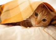 开云sport-思维扩展，标题构思