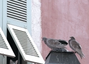 开云体育官网-风暴眼中行棋，当拜仁用巴伐利亚密码破译牙买加田径