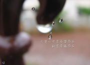 开云体育-雪莲绽放盐湖城，当欧文遇上来自天山的坚韧