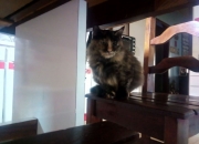 开云体育登录-双城记，当F1轮胎的尖叫，遇见乌拉圭人淘汰赛的咆哮