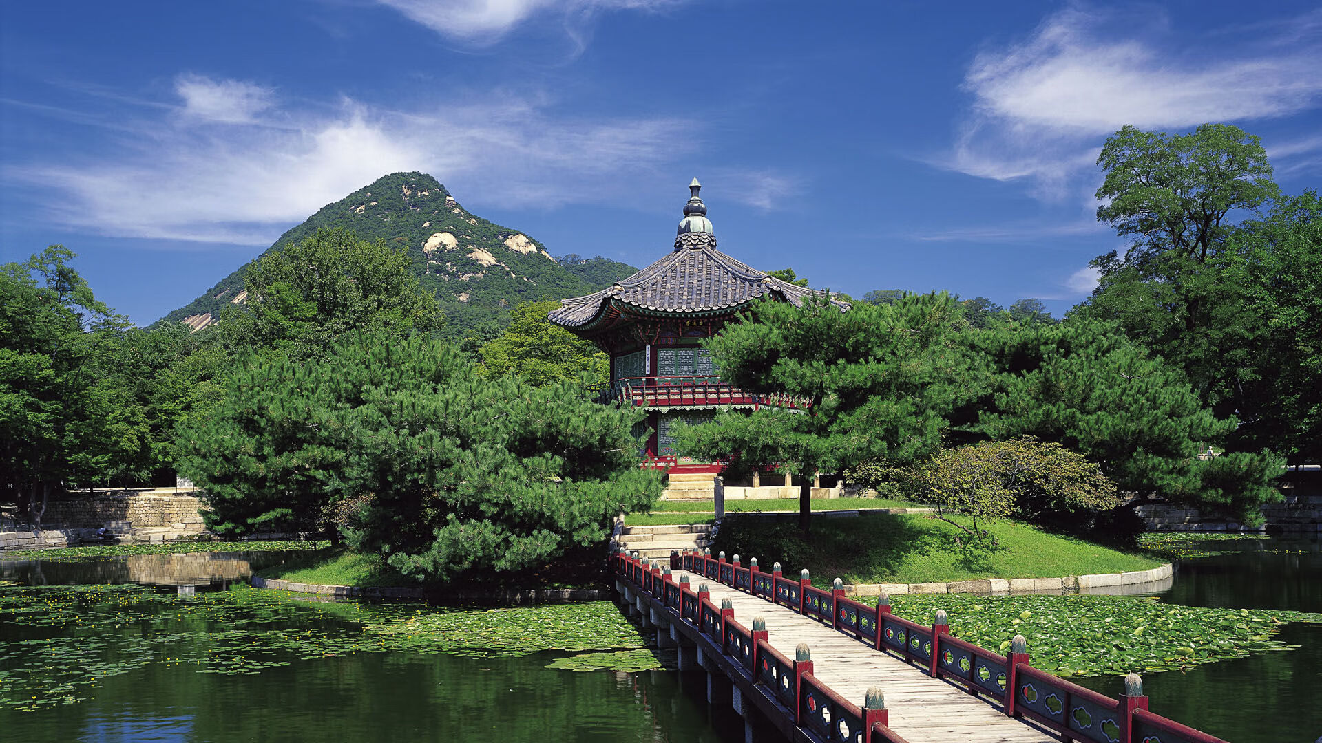 绿茵火焰与塞纳晨曦，加克波统治级数据背后的城市意志力