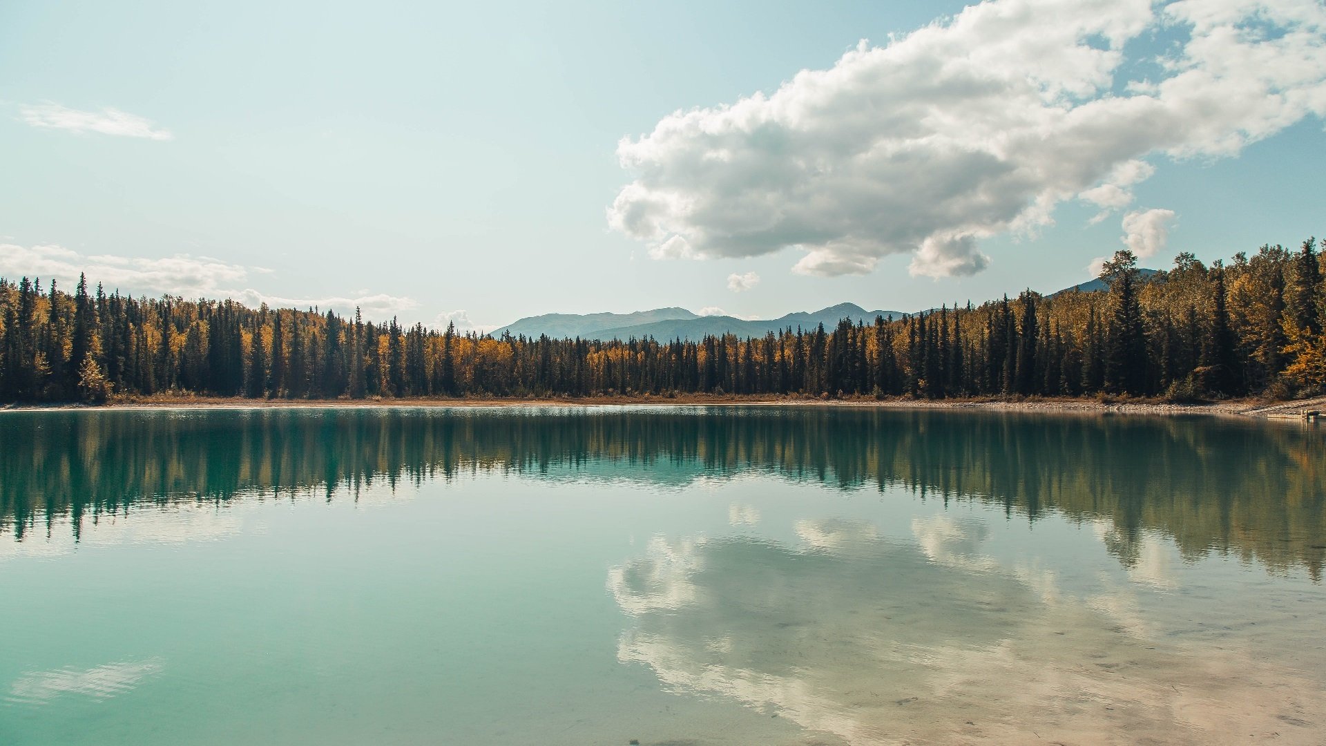 双城记,极速狂飙与团队狂胜—现代竞技中的速度与掌控力
