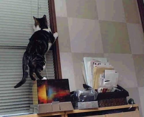 点球决胜!拉什福德一锤定音,英格兰险胜南非晋级决赛 硬仗之王再度封神