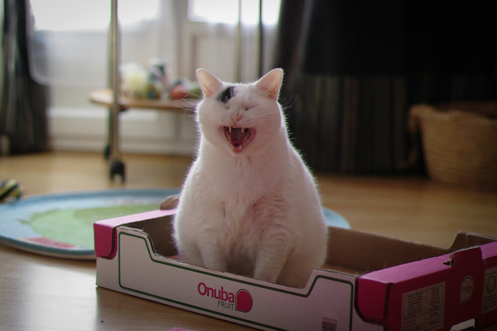 决胜时刻，当勒布朗与乔治在平行时空点燃王座