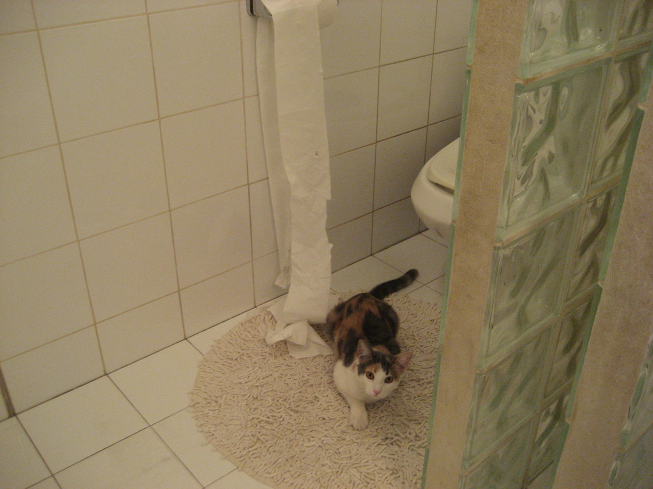 1.动态新闻式,锋刃出鞘!摩纳哥客场2-1力克瑞士劲旅,迪亚斯两度手术刀助攻主宰战局