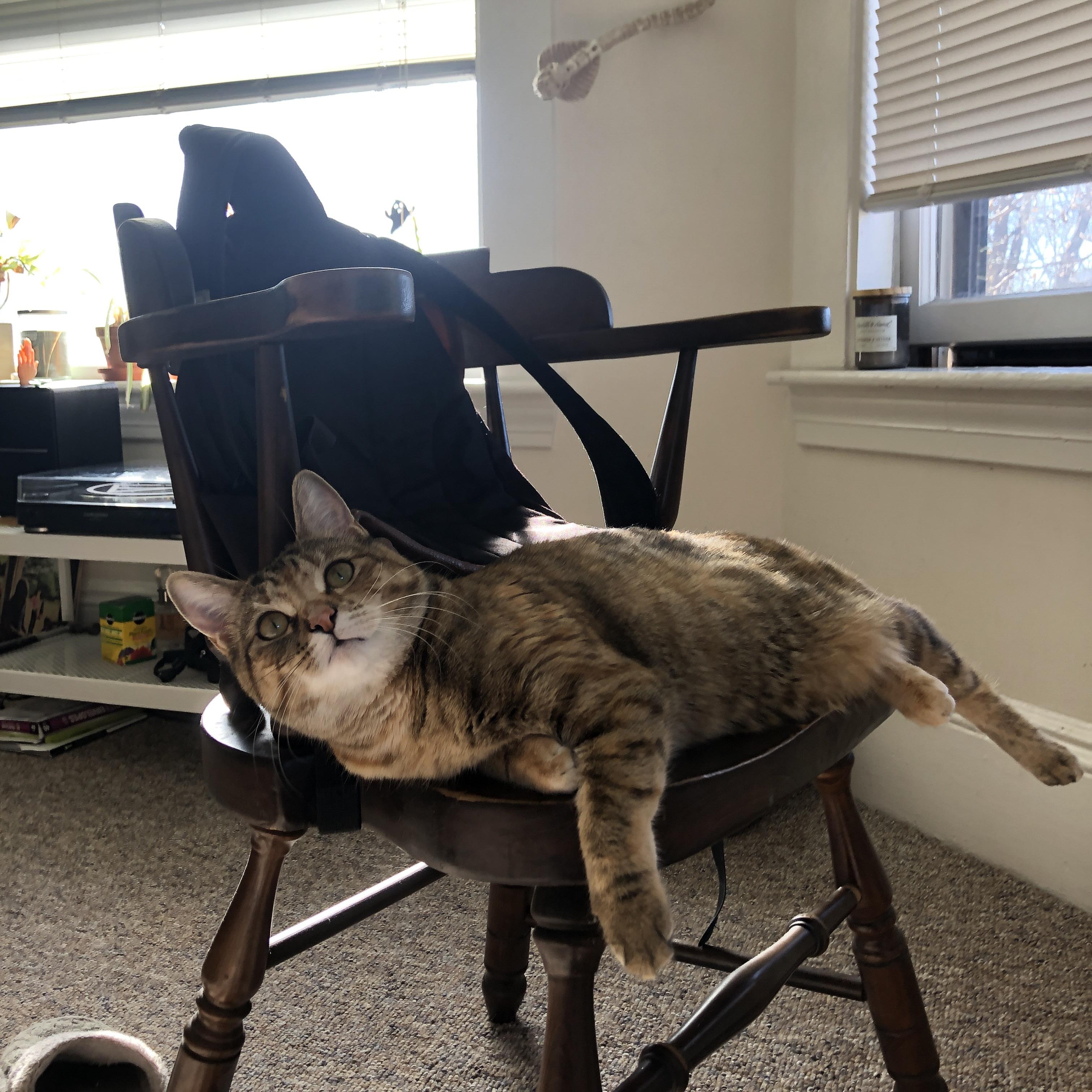 一场唯一的比赛,当安哥拉之星划过巴西,命运的球交由凯恩