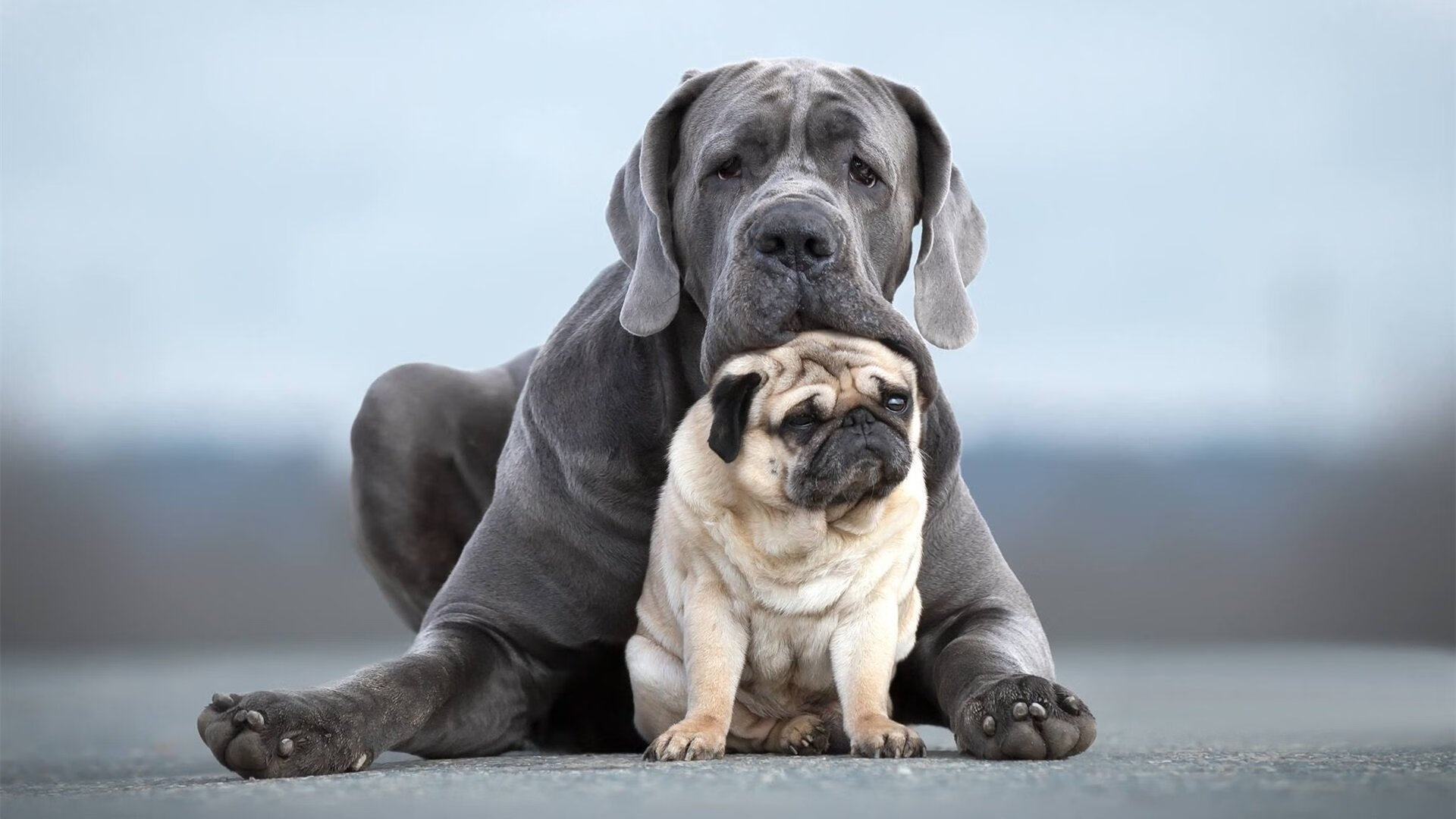 双重镜像之战，当福克斯主宰费城之夜