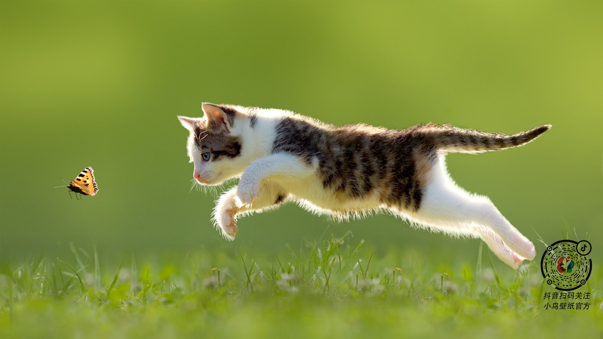 跨界掀翻！杜兰特末节19分化身死神，广东爆冷击败NBA爵士队