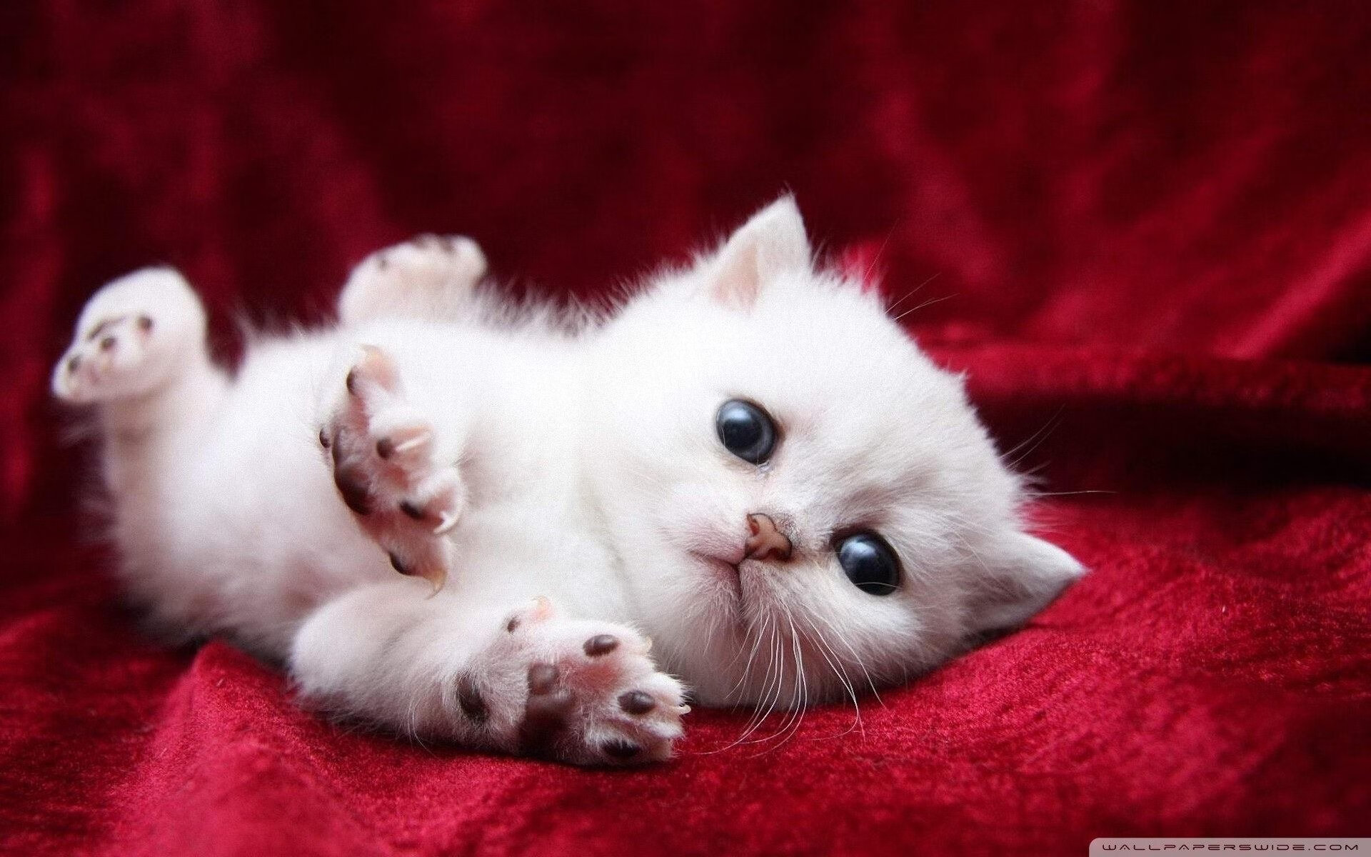 冰封巨人与救赎时刻，哈登如何用一记三分定义东决之夜