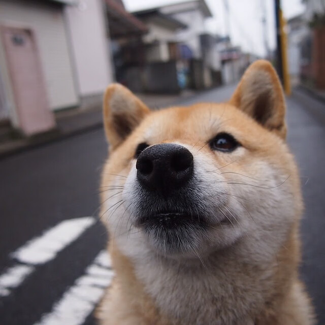 跨时空的对决，莫兰特在总决赛之夜，如何成为硬仗之王的现代回响？