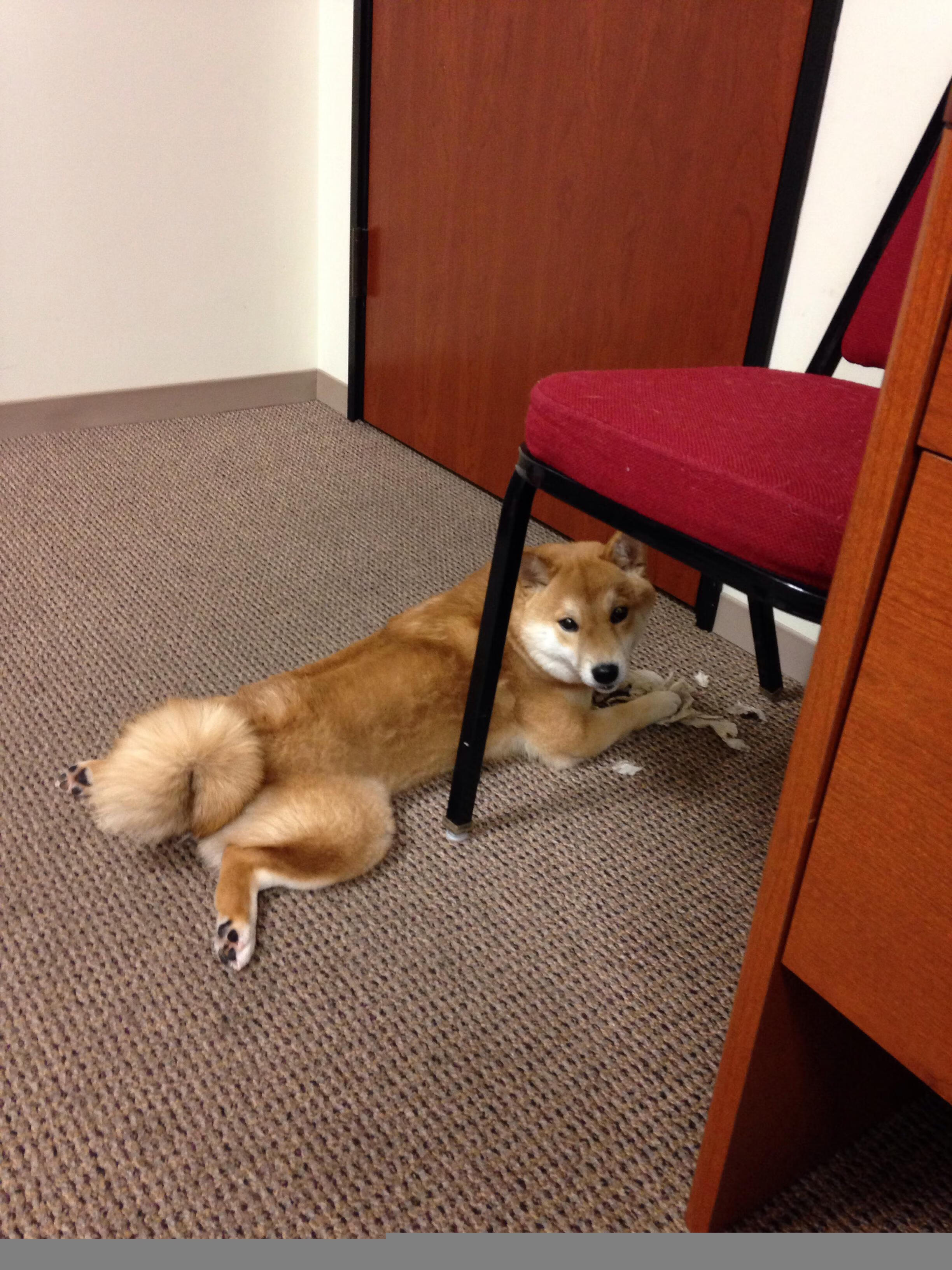 双生引擎，奥斯梅恩持续发威与摩纳哥横扫对手的足球辩证法