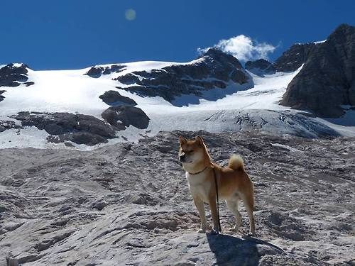 谜之对决,当德甲劲旅遇上袋鼠军团,迪巴拉如何用一场实验性胜利改写规则?