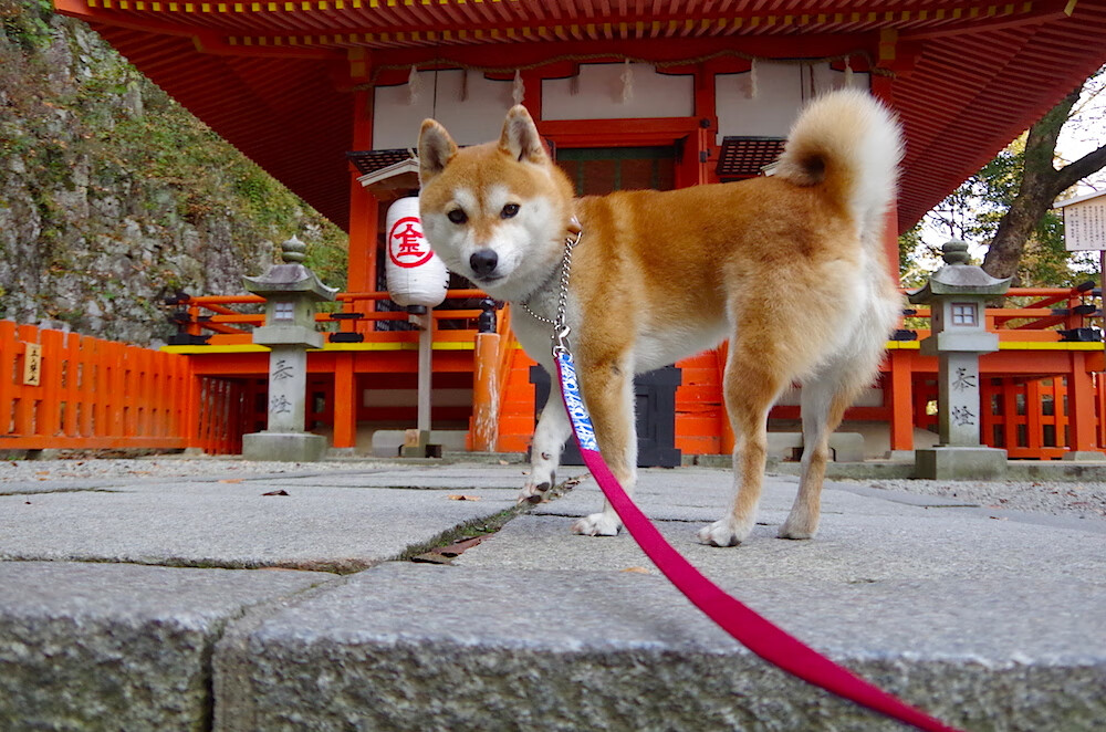 青铜色河流,当美加墨的工业心脏为加维的心跳让路