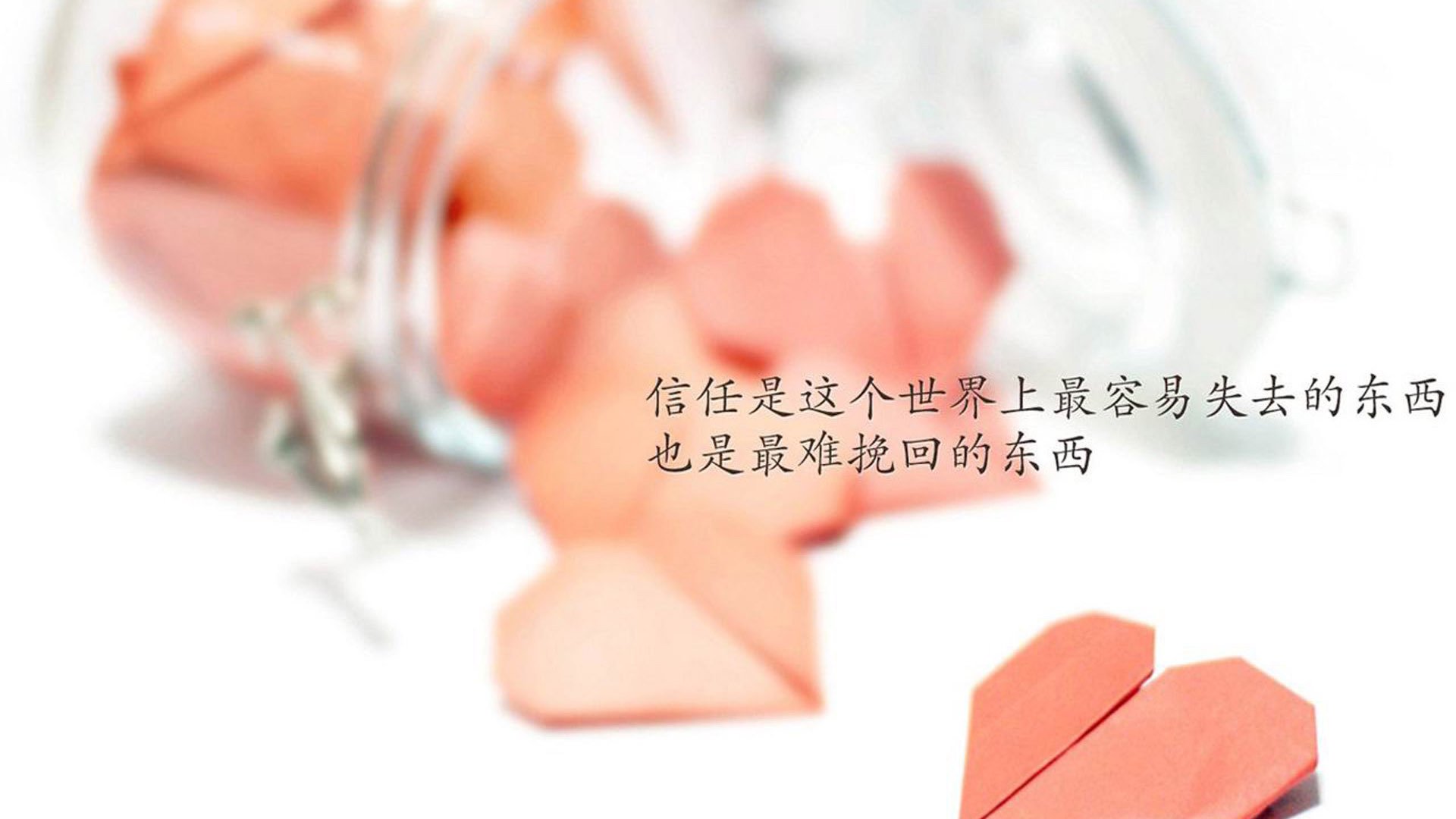 当蓝武士的齿轮碾过童话,2026世界杯B组,一场关于足球未来的降维打击